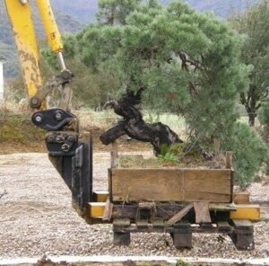Tablier porte-fourches