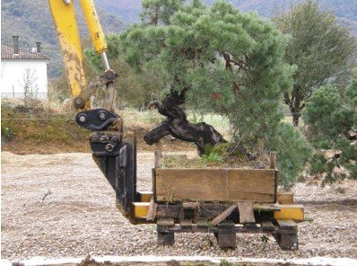Tablier porte-fourches